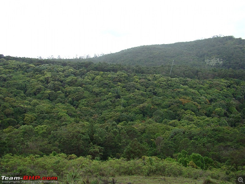 "The Gift of the Forest" -Land of misty afternoons- kodai-dsc03917_1067x800.jpg