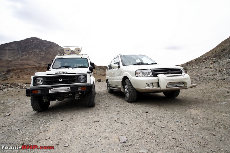 Ladakh and Changthang : The Wilderness Chronicles-903164521_srsuvl.jpg