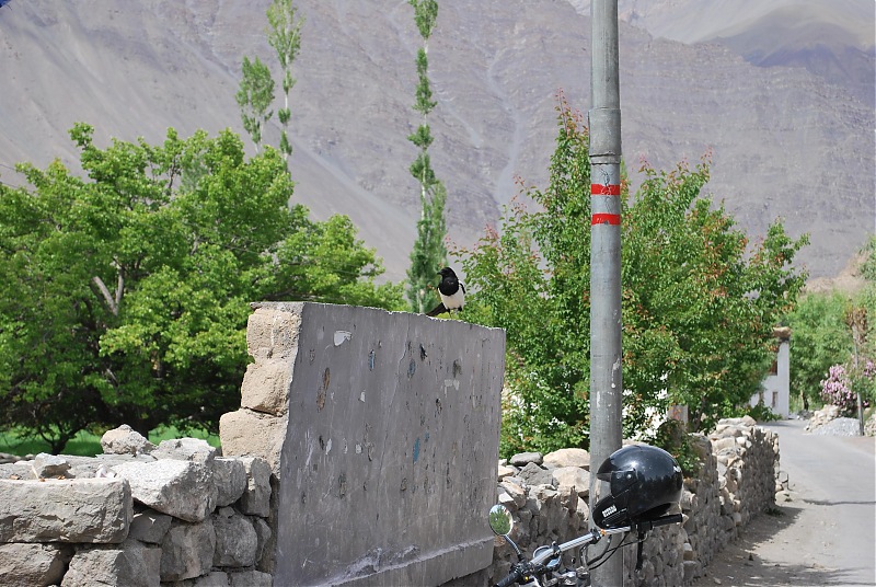 Delhi - Leh - Delhi, Lay Man to Leh Man on Bikes (29th may - 14th June)-dsc_0439.jpg