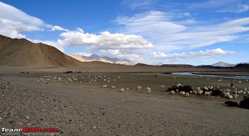 rkbharat's photolog for Leh 2010-dsc_3140.jpg