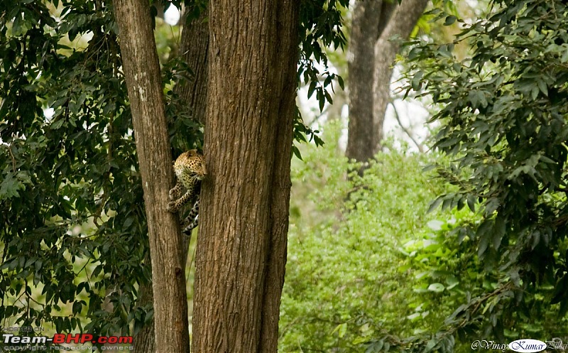 Life in Jungles of Kabini - June 2010-kabini-10-june-2010_0588.jpg