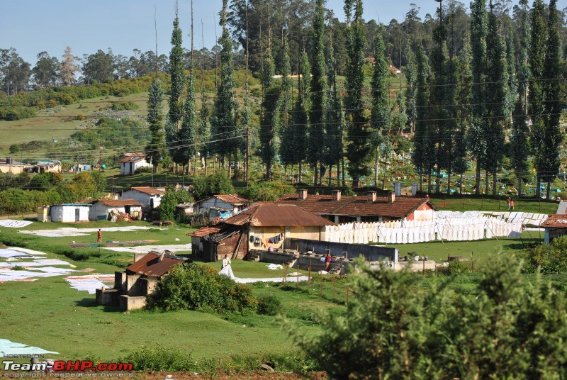 Bangalore-Ooty-Kodai-- A trip to welcome Monsoon rains.-dsc_2851.jpg