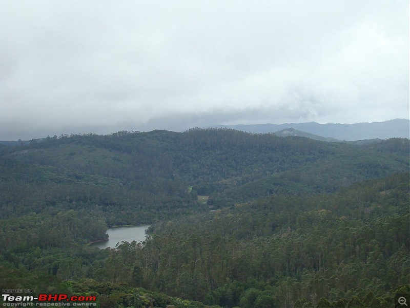 "The Gift of the Forest" -Land of misty afternoons- kodai-dsc03959_1067x800.jpg