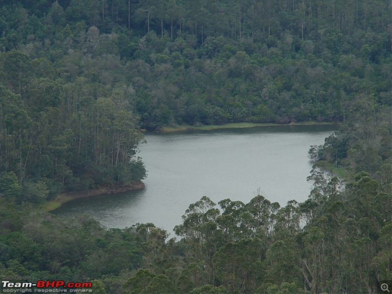 "The Gift of the Forest" -Land of misty afternoons- kodai-dsc03969_1067x800.jpg