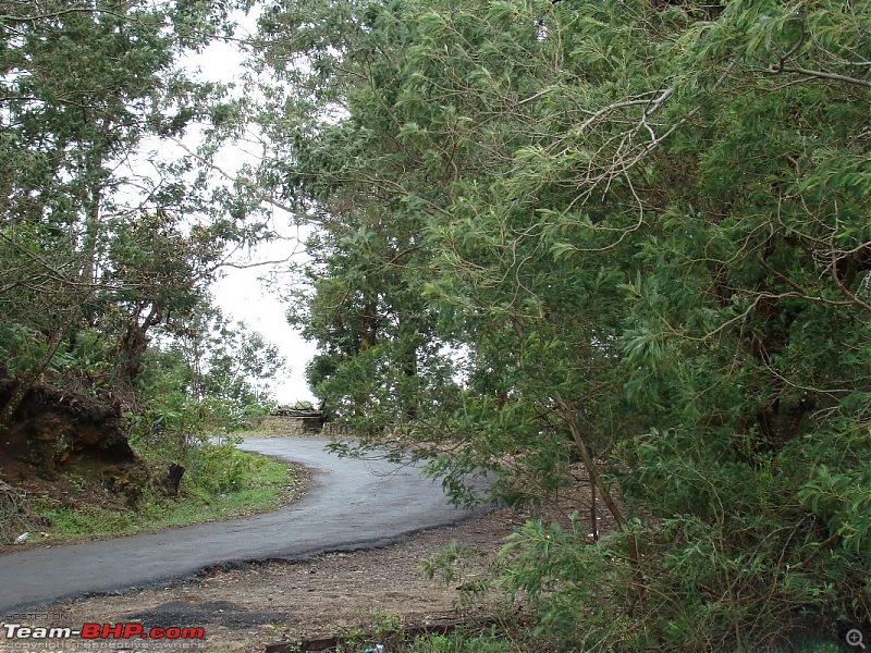 "The Gift of the Forest" -Land of misty afternoons- kodai-dsc03968_1067x800.jpg