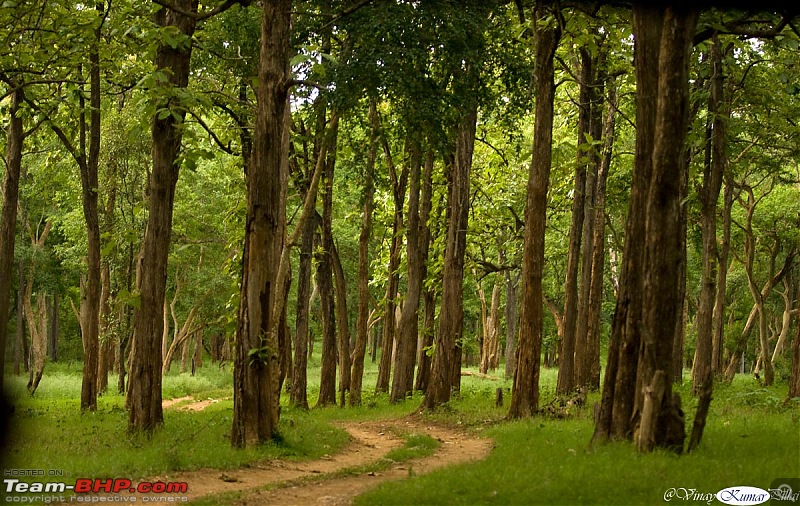 Life in Jungles of Kabini - June 2010-kabini-10-june-2010_841.jpg