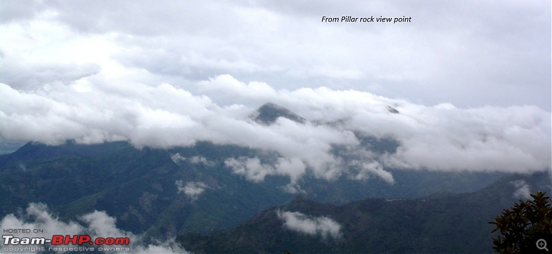 "The Gift of the Forest" -Land of misty afternoons- kodai-img_1070.jpg