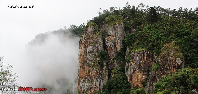 "The Gift of the Forest" -Land of misty afternoons- kodai-img_1074.jpg