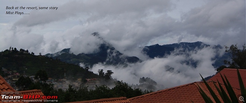 "The Gift of the Forest" -Land of misty afternoons- kodai-img_1131.jpg