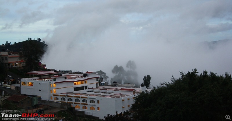 "The Gift of the Forest" -Land of misty afternoons- kodai-img_1144.jpg