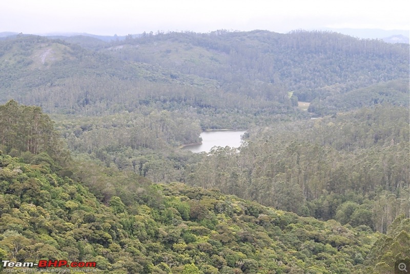 "The Gift of the Forest" -Land of misty afternoons- kodai-img_0528.jpg