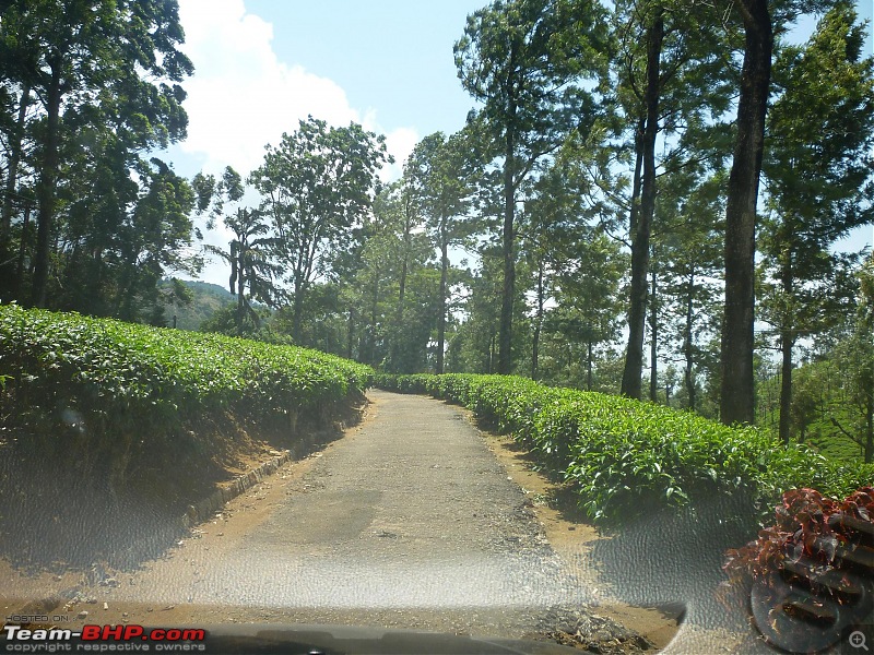 A trip out of Real estate to TEA ESTATE - Our Valparai vacation-17a.jpg
