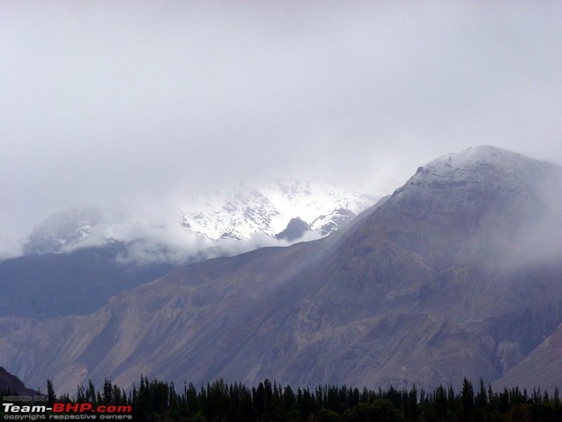 Ladakh and Changthang : The Wilderness Chronicles-903642673_k2epvl.jpg