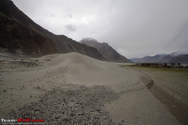 Ladakh and Changthang : The Wilderness Chronicles-904111251_gojvml.jpg