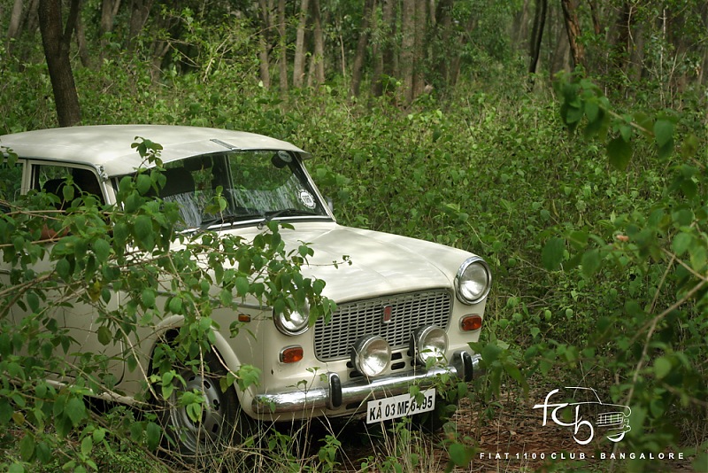 Fiat goes Off The Road - FCB drives to forests of Chikmagalur!-img_6145.jpg