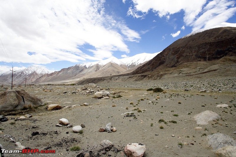 Ladakh and Changthang : The Wilderness Chronicles-905230659_g8k9rl.jpg