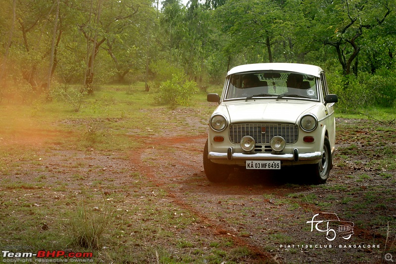 Fiat goes Off The Road - FCB drives to forests of Chikmagalur!-img_6220.jpg