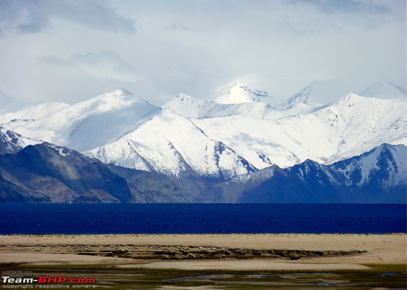 Ladakh and Changthang : The Wilderness Chronicles-904587392_dhqzql.jpg