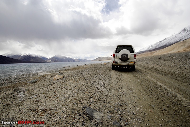 Ladakh and Changthang : The Wilderness Chronicles-906258519_zymrzl.jpg