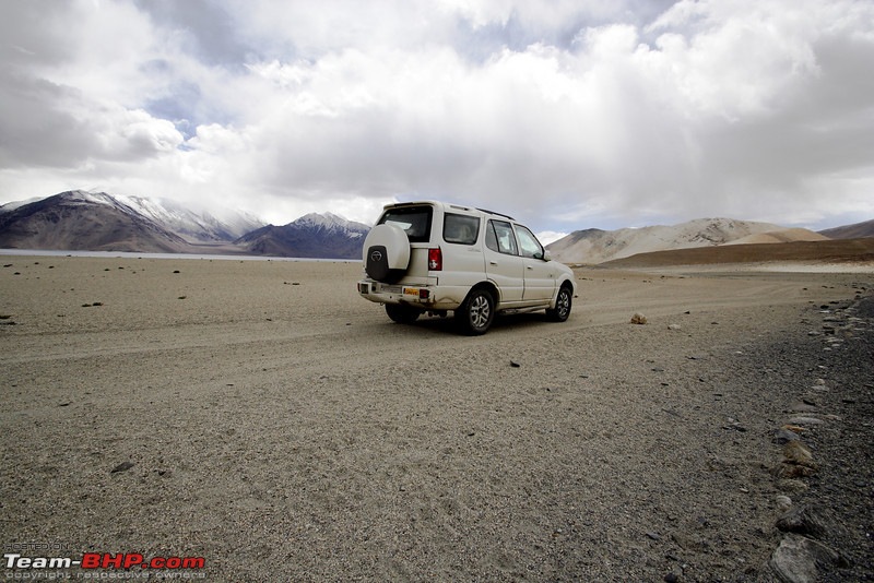Ladakh and Changthang : The Wilderness Chronicles-906257174_bwfx5l.jpg