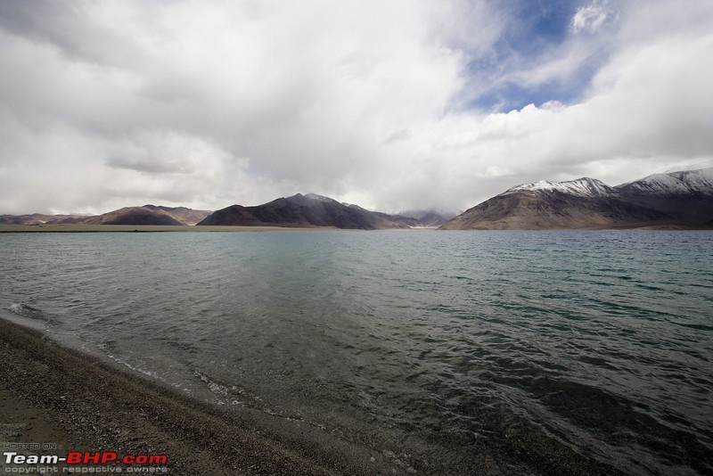 Ladakh and Changthang : The Wilderness Chronicles-906266834_pzv7rl.jpg