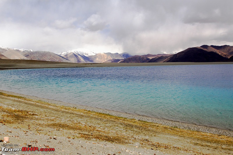 Ladakh and Changthang : The Wilderness Chronicles-906285289_2mlskl.jpg