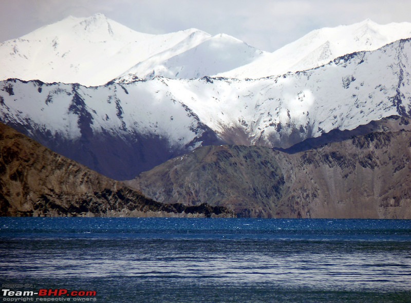 Ladakh and Changthang : The Wilderness Chronicles-906320149_z9zhnl.jpg