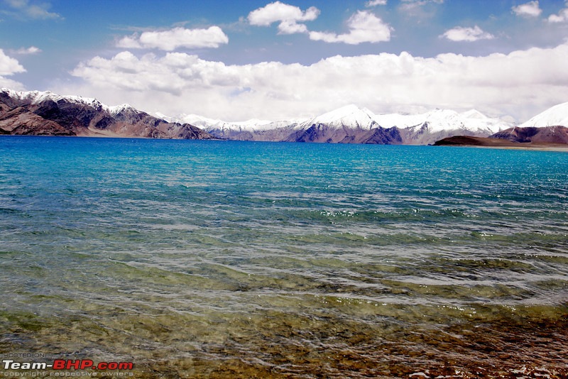 Ladakh and Changthang : The Wilderness Chronicles-906286072_rexznl.jpg