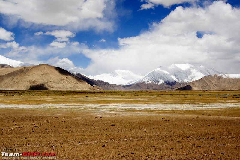 Ladakh and Changthang : The Wilderness Chronicles-906346665_n4cicl.jpg