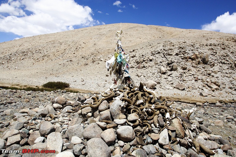 Ladakh and Changthang : The Wilderness Chronicles-906360122_bj9txl.jpg