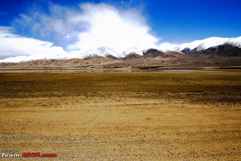 Ladakh and Changthang : The Wilderness Chronicles-906360405_ch7mvl.jpg