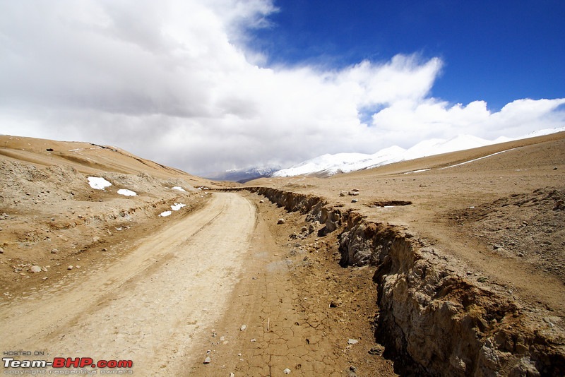 Ladakh and Changthang : The Wilderness Chronicles-906368956_5s3znl.jpg