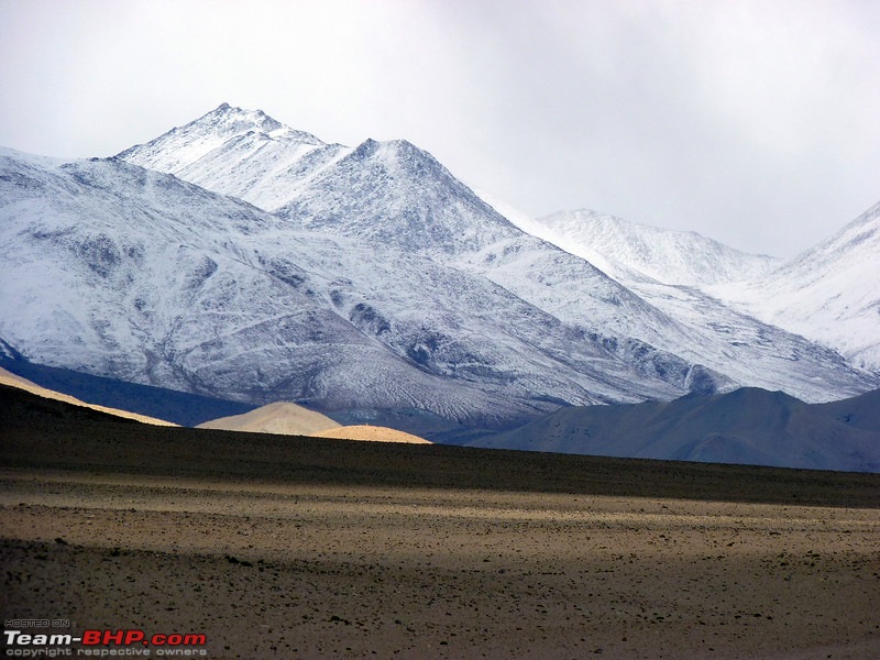 Ladakh and Changthang : The Wilderness Chronicles-906978876_nsjspl.jpg