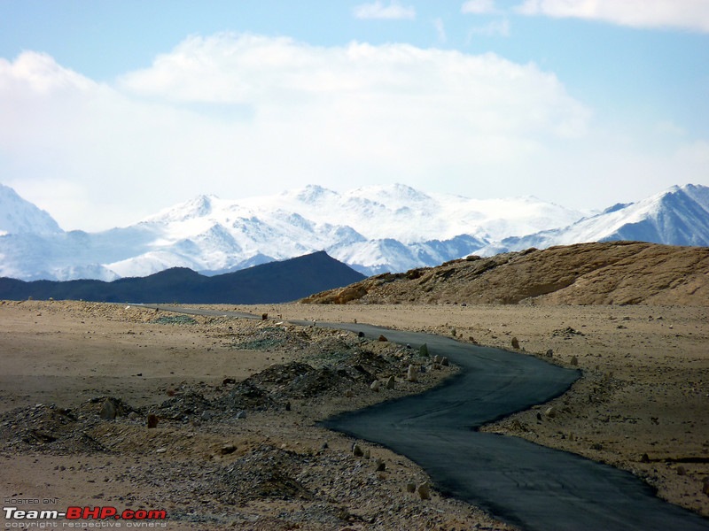 Ladakh and Changthang : The Wilderness Chronicles-906917077_fm49hl.jpg