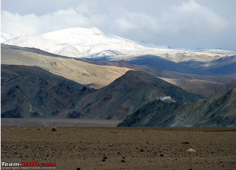 Ladakh and Changthang : The Wilderness Chronicles-906932167_uzyt7l.jpg