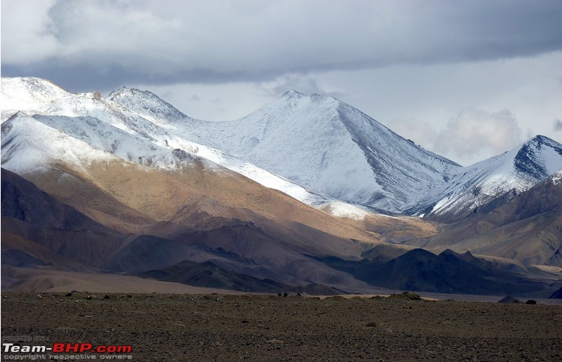 Ladakh and Changthang : The Wilderness Chronicles-906976626_htkyzl.jpg