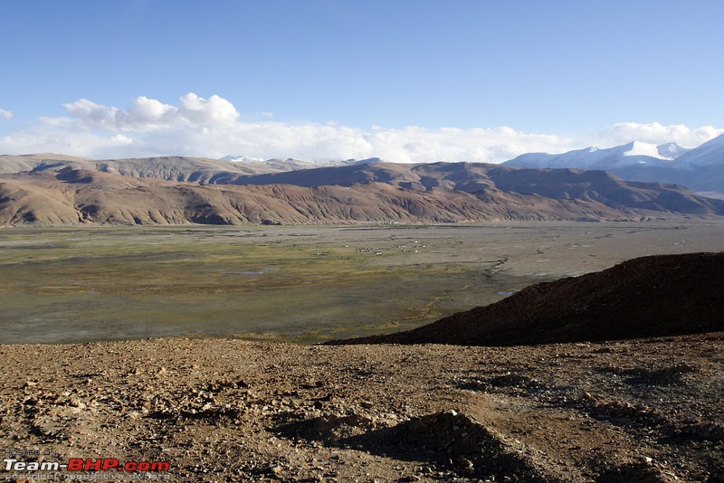 Ladakh and Changthang : The Wilderness Chronicles-906404807_pffpxl.jpg