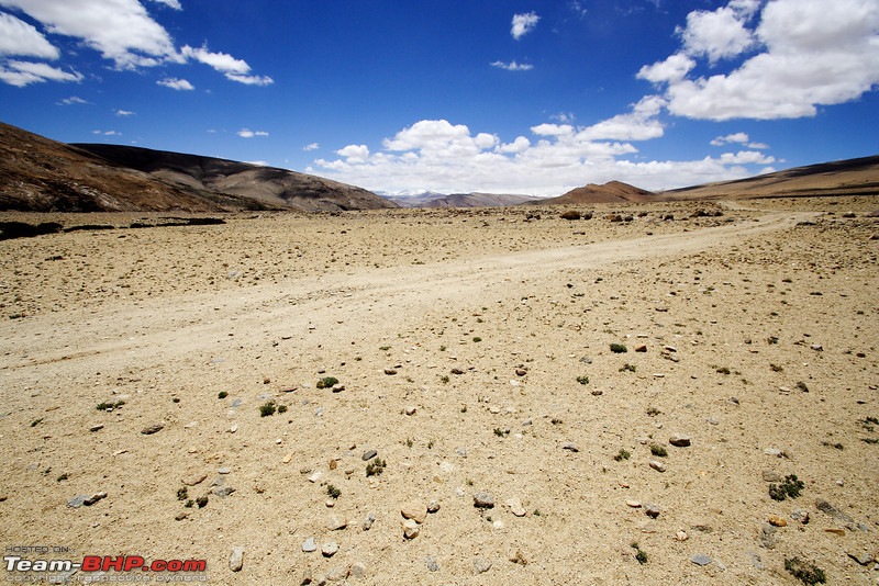 Ladakh and Changthang : The Wilderness Chronicles-907527197_trnfbl.jpg