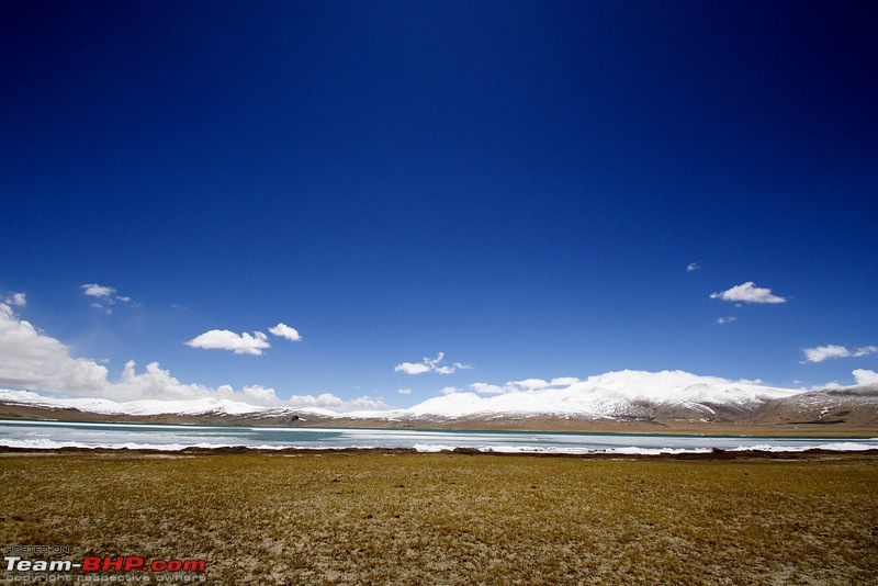 Ladakh and Changthang : The Wilderness Chronicles-907552022_umrufl.jpg