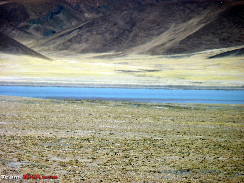 Ladakh and Changthang : The Wilderness Chronicles-907631398_ezygkl.jpg