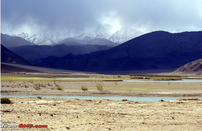 Ladakh and Changthang : The Wilderness Chronicles-907659157_w7tznl.jpg