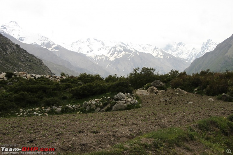 Kalpa-Chitkul-Sarahan, June 2010-20100616121931_0430.jpg