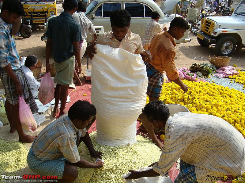Photoblog of destinations in & around Trivandrum, Kerala-dsc08077.jpg