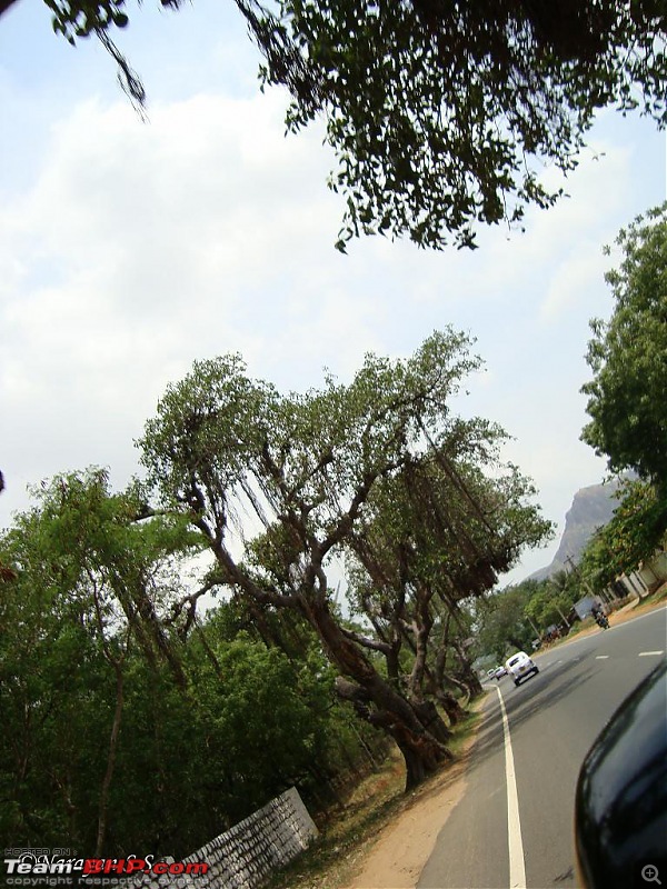 Photoblog of destinations in & around Trivandrum, Kerala-dsc08391.jpg