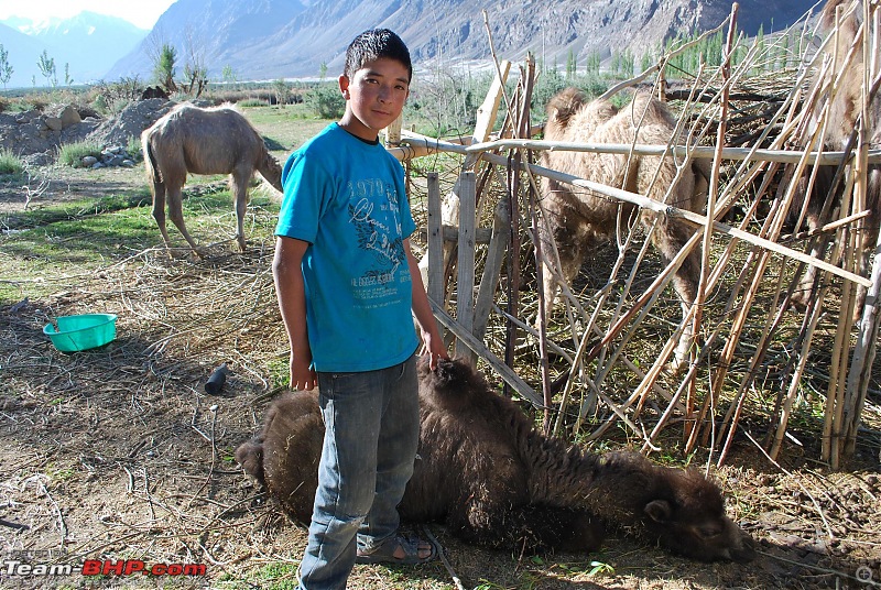 Delhi - Leh - Delhi, Lay Man to Leh Man on Bikes (29th may - 14th June)-dsc_0815.jpg