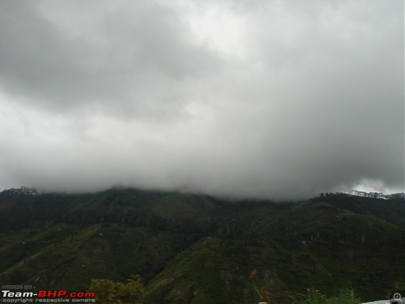 "The Gift of the Forest" -Land of misty afternoons- kodai-dsc03930.jpg