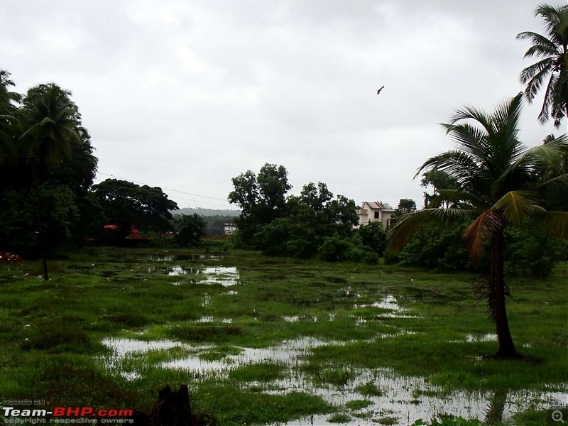 Hawk-on-fours on a pan-India tour: Delhi-Mumbai-Goa-Manipal-Coorg-Kolkata-Delhi-3.jpg