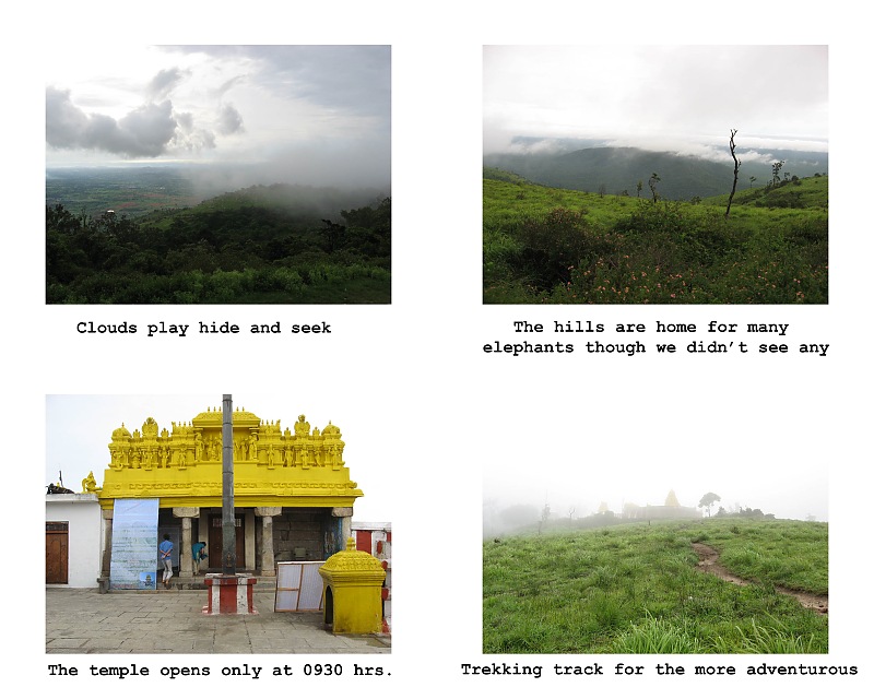 Ooty in rain! A trip thru Nanjangud, Bandipur and Brindavan Gardens while returning.-contactsheet9.jpg