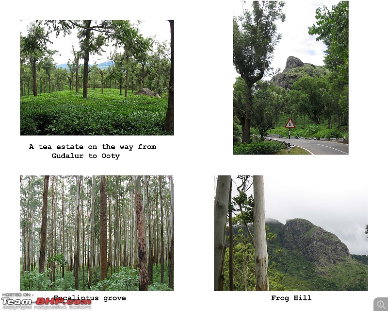 Ooty in rain! A trip thru Nanjangud, Bandipur and Brindavan Gardens while returning.-contactsheet11.jpg