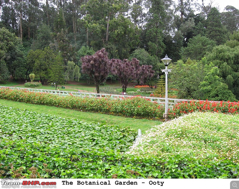 Ooty in rain! A trip thru Nanjangud, Bandipur and Brindavan Gardens while returning.-contactsheet12.jpg